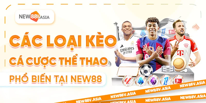 Các Loại Kèo Cá Cược Thể Thao New88