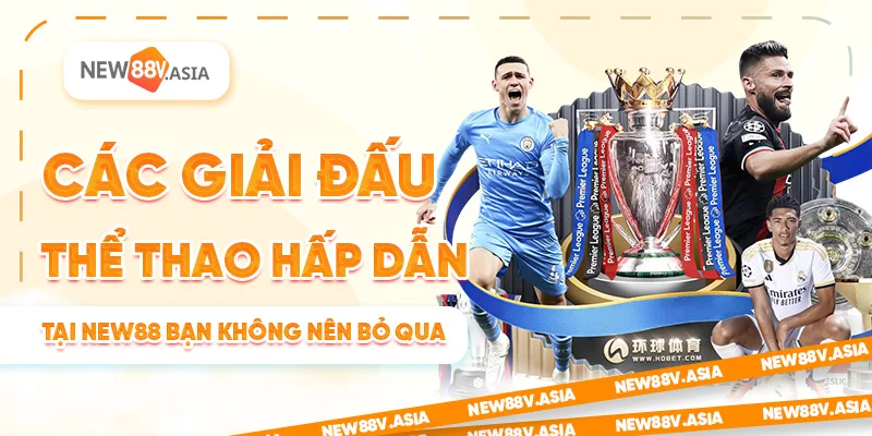 Các Giải Đấu Thể Thao Bạn Không Nên Bỏ Qua Tại New88