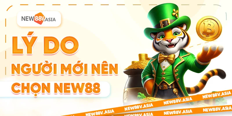Lý Do Người Mới Nên Chọn New88