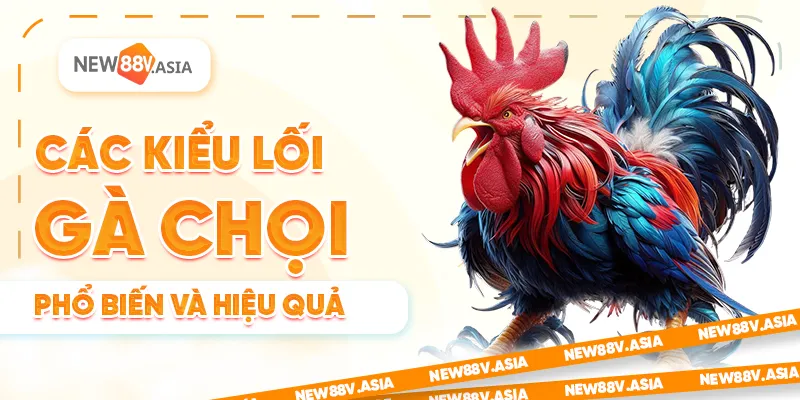  Các kiểu lối gà chọi phổ biến và hiệu quả