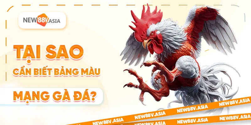 Tại sao cần biết bảng màu mạng gà đá?