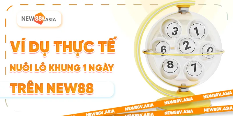 Nuôi Lô Khung 1 Ngày: Chiến Lược Siêu Tốc, Lợi Nhuận Cao 3 Ví dụ thực tế nuôi lô khung 1 ngày trên New88